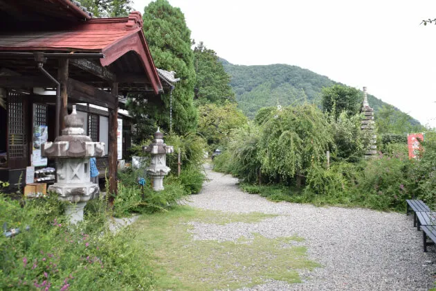 洞昌院　萩　ハギ